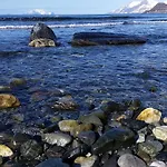 Lyngen Fjordcamp Holiday home Nord-Lenangen